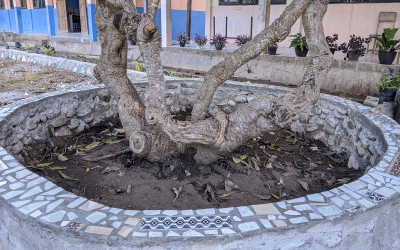 OSIS SMA Negeri 1 Amfoang Utara Mengubah Keramik Pecah Menjadi Tempat Nongkrong